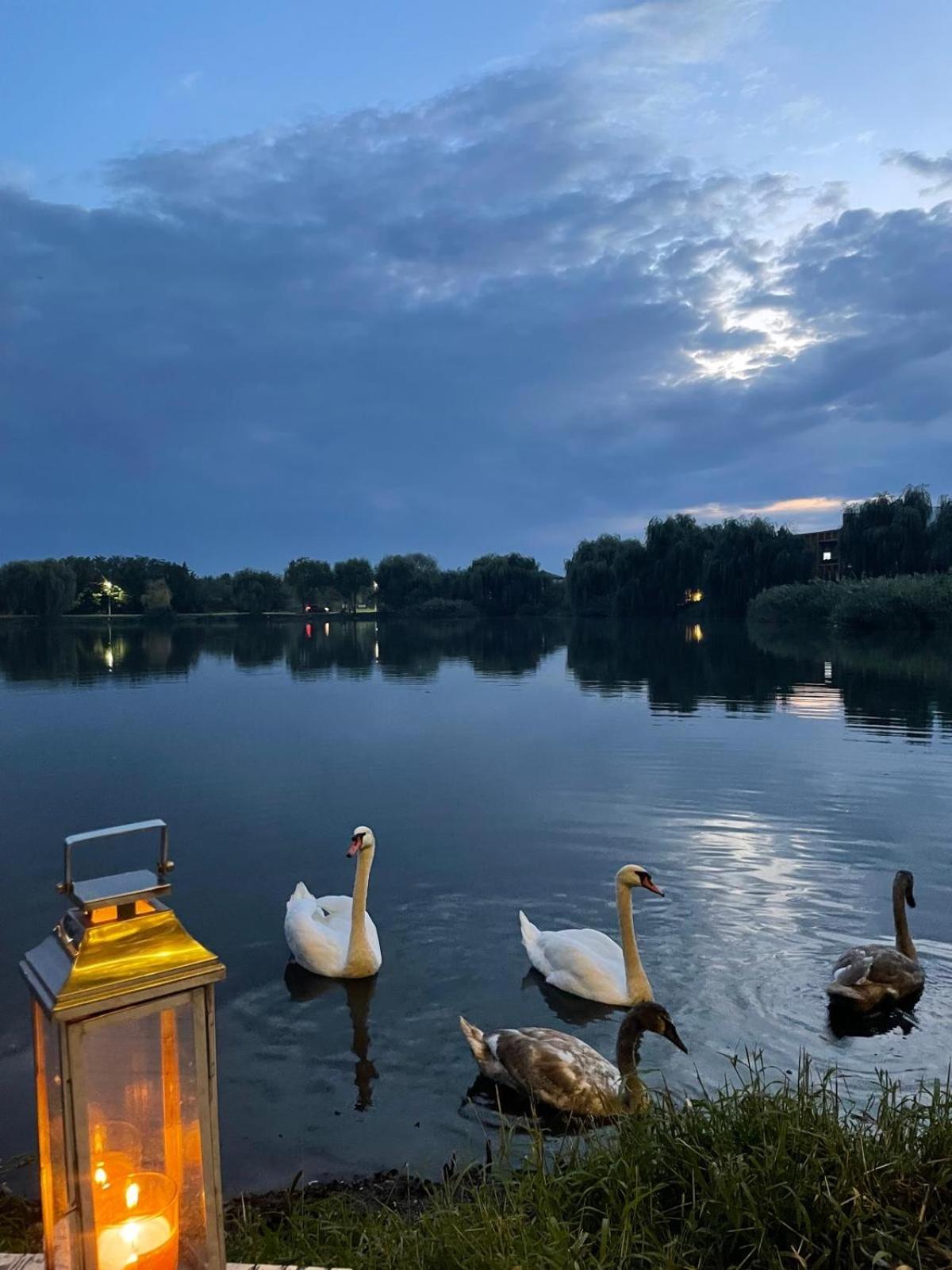 Therme - Corbeanca By The Lake Luxury Villa Luaran gambar